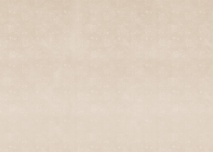 Tablecloth PVC 140 x 180 Gosia 59