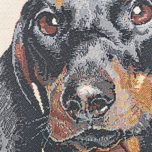 Decorative 45 x 45 Tapestry Pillowcase Nadia 29