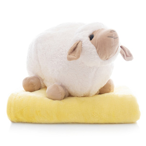 Blanket with Pillow-Mask 68