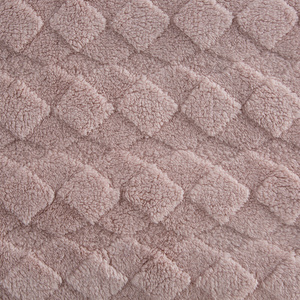 70 x 160 Stamped Plush Nancy Powder Blanket