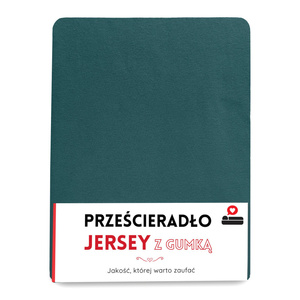 140 x 200 Jersey sheet with elastic Gaja 47