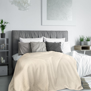 Blanket 220 x 200 Microfiber Design Cindy Beige