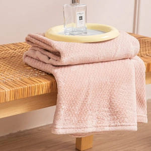 200 x 220 Plush Microfiber Willy Powder Blanket