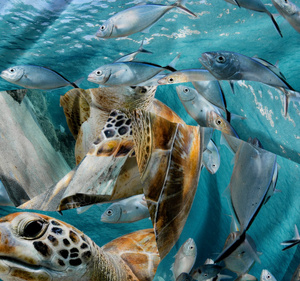 Bedding 160 x 200 3-piece Microfiber 3D Andreas 3035