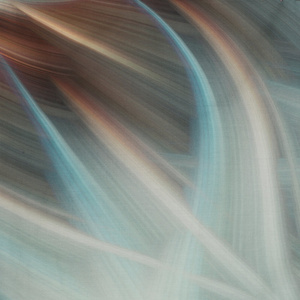 Bedding 220 x 200 3pcs Satin Eva Minge Prisma