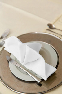 45 x 45 Banquet Napkin Cotton White