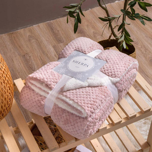 Blanket 150 x 200 Microfiber Lamb Sherpa Powdered