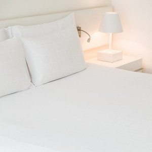 Bed sheet 220 x 260 Without Gum Hotel Cotton Iris