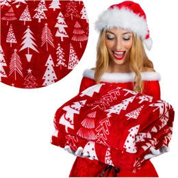 Blanket 200 x 220 Microfiber Christmas Donato 02