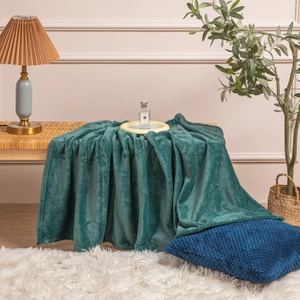 200 x 220 Plush Microfiber Willy Bottle Blanket