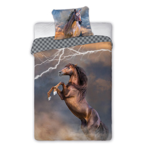 Bedding 160 x 200 Youth Horses 003 Thunderbolt