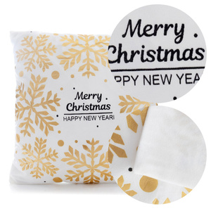 Decorative Nona Velvet 40 x 40 pillowcase 13