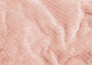 Blanket 200 x 220 Microfiber Jacquard Ricky Powdered