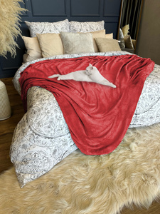 Blanket 200 x 220 Microfiber Solid Juana 12