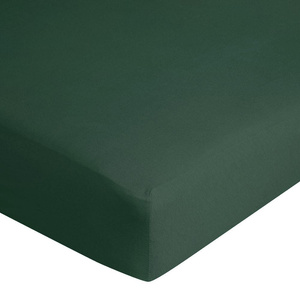Jersey sheet with elastic D91 120x200 w.25 Green