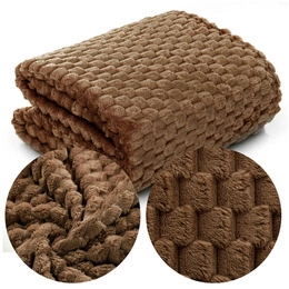 Blanket 200 x 220 Microfiber Stamped Jorge Slices 09