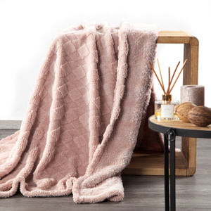 200 x 220 Stamped Plush Nancy Powder Blanket