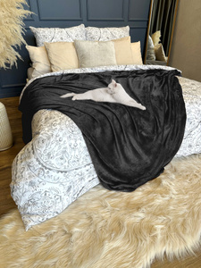 Blanket 160 x 200 Microfiber Solid Juana 01