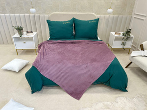 Blanket 200 x 220 Microfiber Plush Cadence Stripes 03