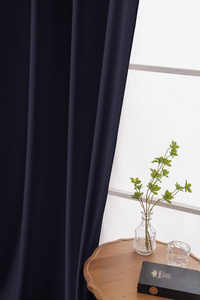 Curtain 140 x 250 Decorative Single Leoni 01 P