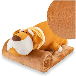 Blanket with Pillow-Mask 14