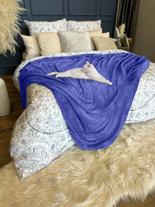 Blanket 160 x 200 Microfiber Solid Juana 05