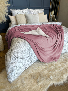 Blanket 160 x 200 Microfiber Solid Juana 10