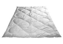 Anilan Anti-allergenic Quilt No. 01 White 90x120