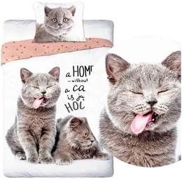 Pościel Młodzieżowa nr 338 Best Friends 140x200NP 2 części 70x90