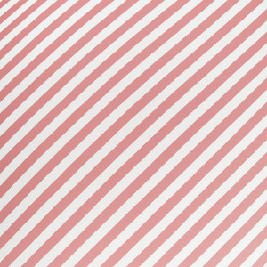 Pillowcase 70 x 80 Smooth Eusebia Home 12