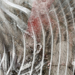 Bedding 220 x 200 3pcs Makosatin Eva Minge EVA 19