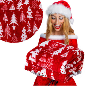 Blanket 200 x 220 Microfiber Christmas Donato 02