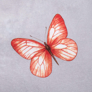 Bedding 220 x 200 3pc Flannel Cotton Leta 31512/2