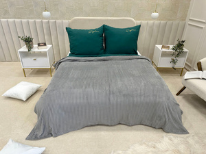 Blanket 200 x 220 Microfiber Plush Cadence Stripes 01