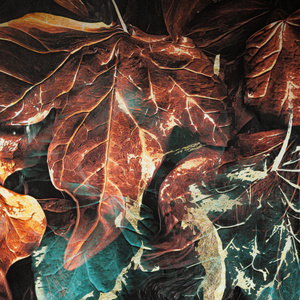 Bedding 220 x 200 3 pcs Makosatin Eva Minge EVA 16