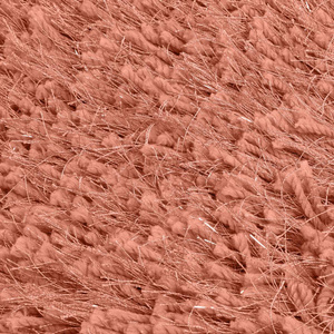 Carpet 60 x 90 Celia Shaggy Coral