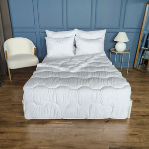 Duvet 160x200 Anti-allergic Kaja Summer 01