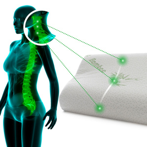 30 x 50 Orthopedic Bamboo Memory Pillow Defna