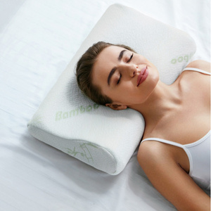 30 x 50 Orthopedic Bamboo Memory Pillow Defna