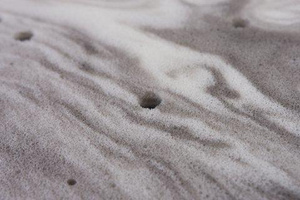 120 x 60 x 10 Orthopedic Eco Panther Mattress