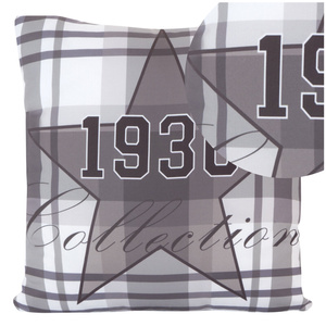 Astre Decorative Pillowcase 40 x 40 Ashen