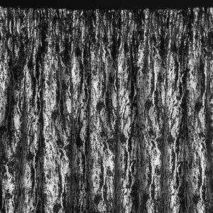 Curtain 140 x 270 Decorative Blackout Elise Cz+Sr