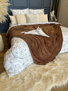 Blanket 200 x 220 Microfiber Solid Juana 03