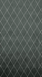 Pierre Cardin Margo Silver Curtain 140 x 250 Slipcover