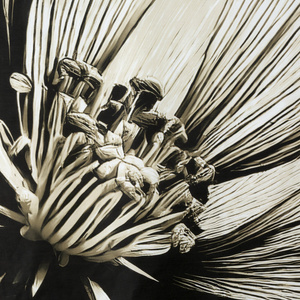 Bedding 220 x 200 3pc Cotton Satin Spring 78