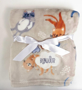 Blanket 75 x 100 Microfiber with Embroidered Ricco RI6B