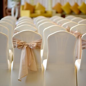 Cover 45 x 97 for Philip 01 Banquet Chair