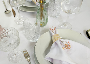 Stainproof Tablecloth with Guipure Lace White 100x180