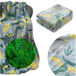 Blanket 150 x 200 Microfiber Fluorescent Peter 07