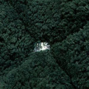 Cotton Carpet 50 x 70 Chic 2 Dark Green